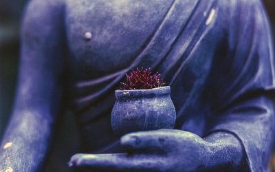 Stage Méditation & Yoga