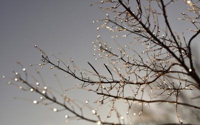 Méditation pour s&rsquo;ancrer profondément