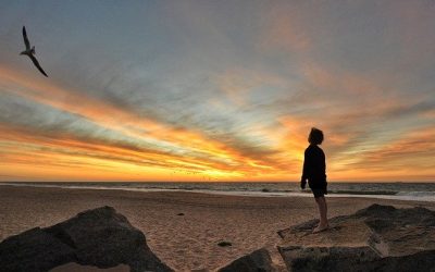 Méditation pour l&rsquo;Ouverture