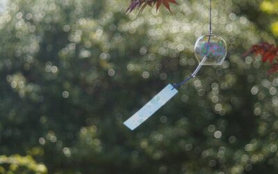 Méditation de Furin en forêt