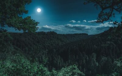 Méditation d’Otsukimi